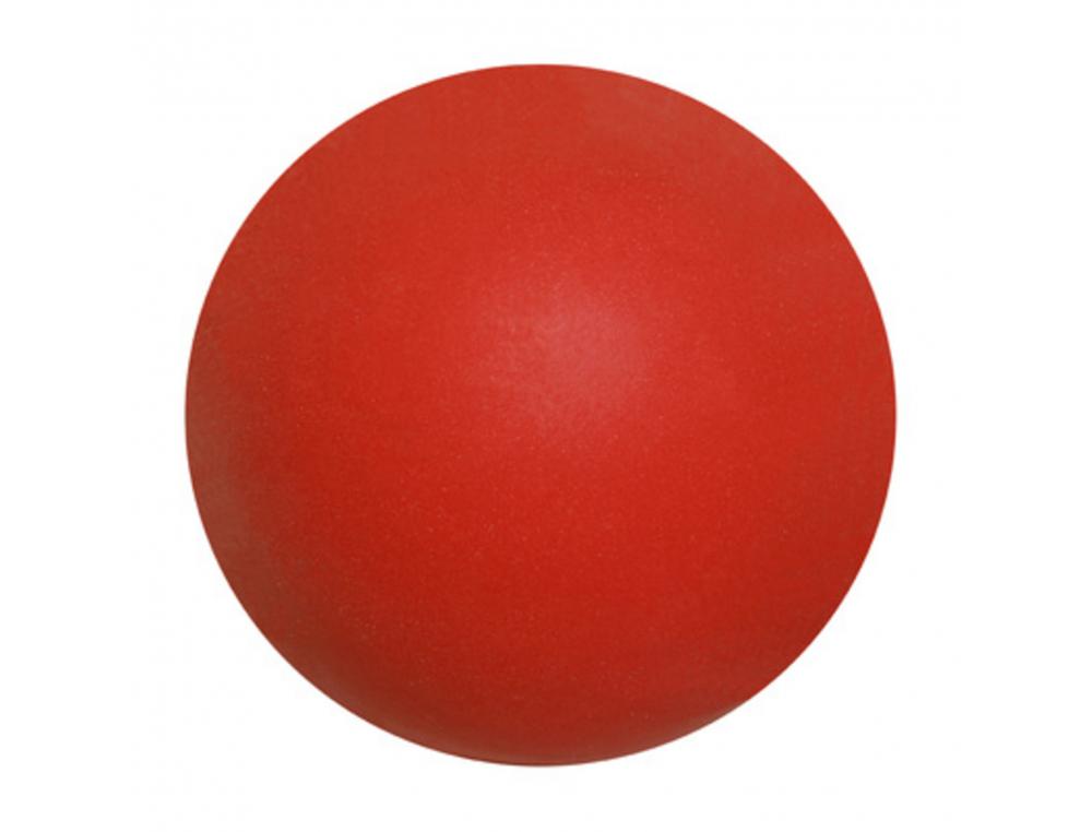 BALLONS DE FOOTBALL EN MOUSE FIRST LOISIRS 20 CM 170G