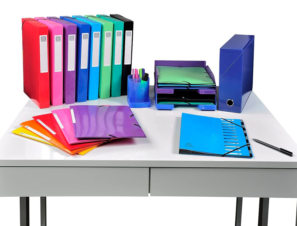 BOITE TRANSFERT EXACOMPTA IDERAMA CARTON  RECOUVERT     PAPIER TOILE 16/10E A4        25X33CM DOS 120MM OEILLET