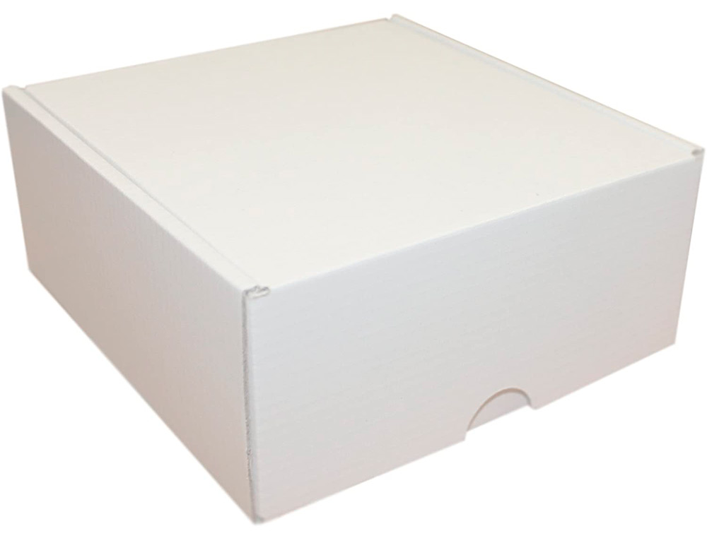BOITE EXPEDITION CADEAU KRAFT BLANC INTERIEUR ET EXTERIEUR 241X166X94MM LOT DE 2 BOITES