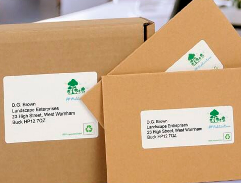 ETIQUETTE AUTOCOLLANTE AVERY ADRESSE RECYCLEE LASER BLANC 63,5 X 38,1MM BOITE DE 315