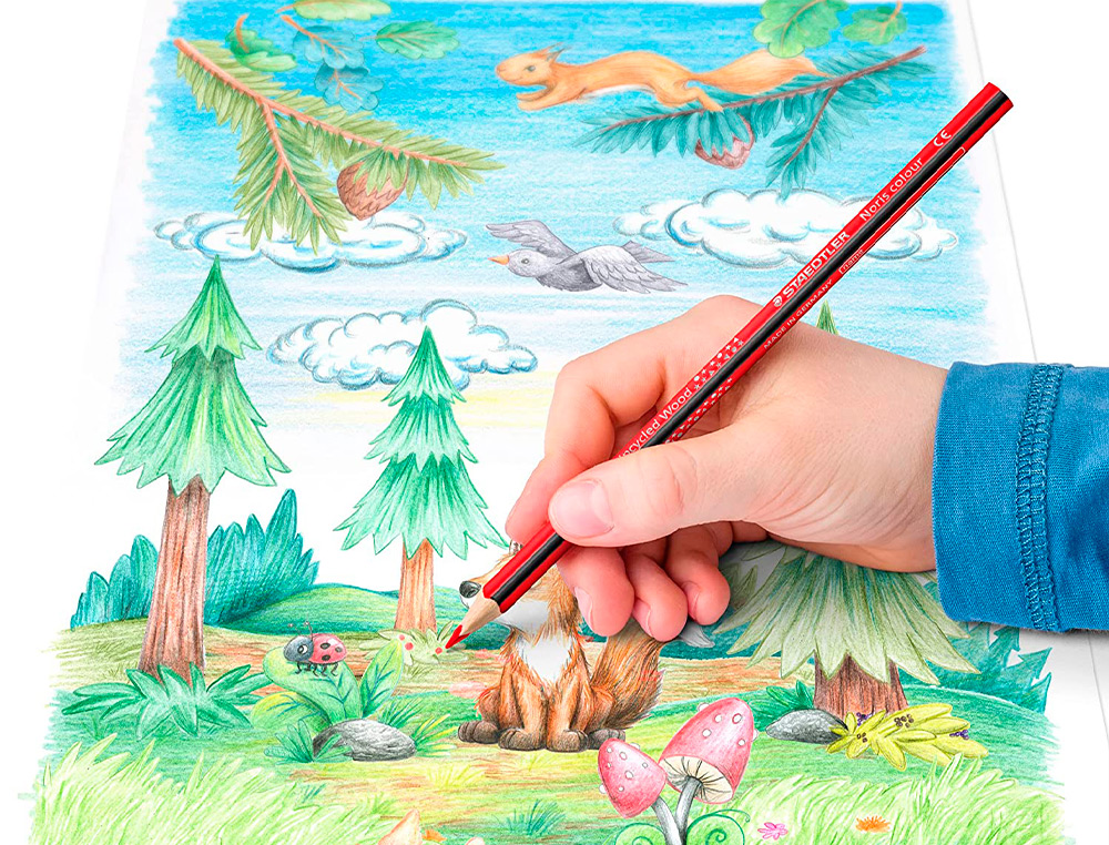 CRAYONS DE COULEUR STAEDTLER NORIS 187 TRIANGULAIRES EN BOIS COLORIS ASSORTIS ETUI DE 12