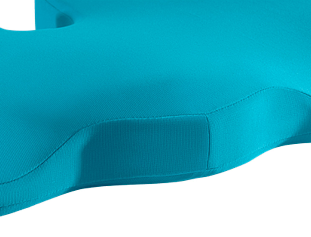 COUSSIN DE SIEGE ERGONOMIQUE LEITZ ERGO COSY BLEU