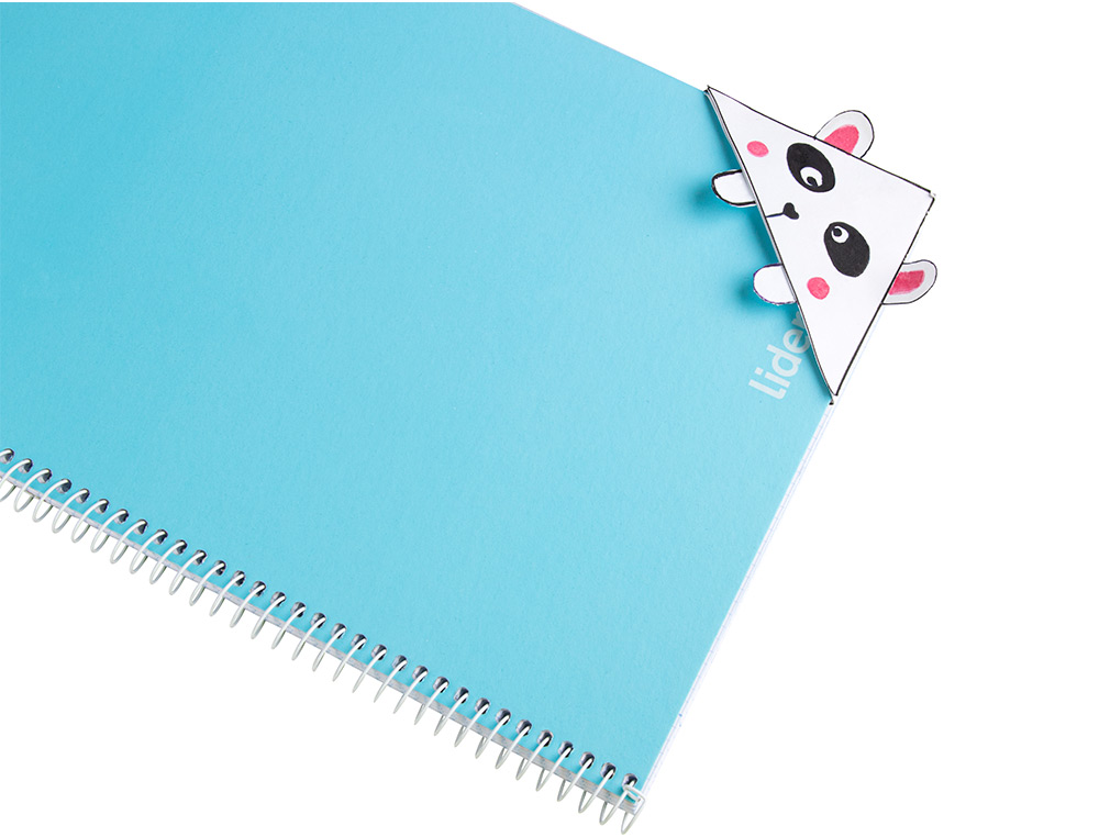 PAPIER CARTONNE LIDERPAPEL 50X65CM 180GR COLORIS BLANC PAQUET 25 FEUILLES